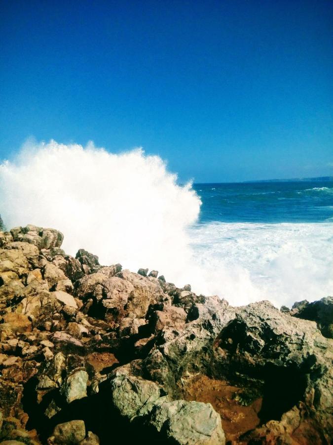 Apartment Cozy In Algarve West Coast - Aljezur